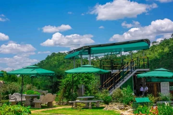Green Village Gardens, photo 3